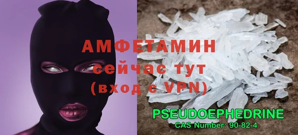 индика Балабаново