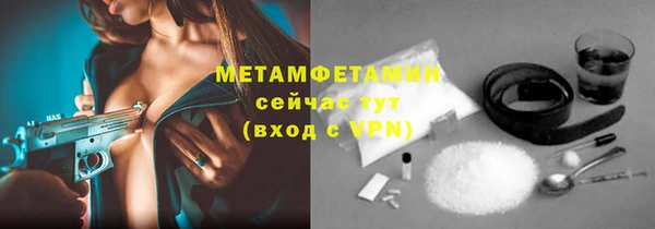 индика Балабаново