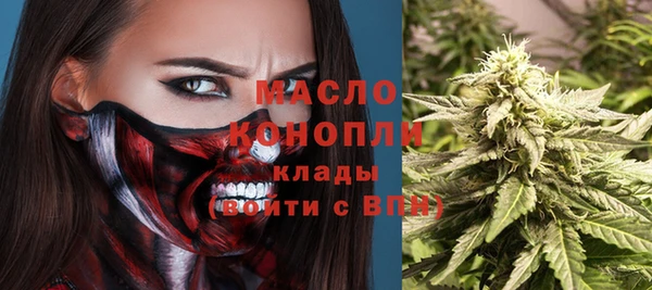 индика Балабаново