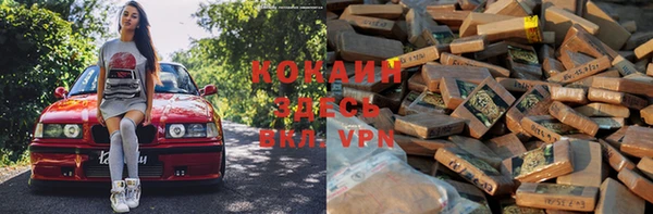 индика Балабаново