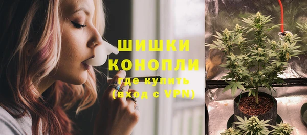 индика Балабаново