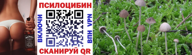 Галлюциногенные грибы Psilocybine cubensis Сысерть